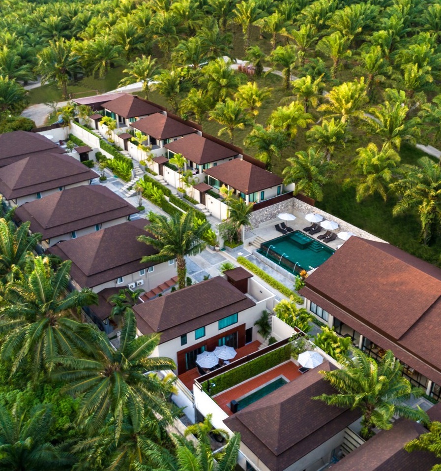 Bird-eye-view-bg bird eye view
